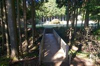 Yamanaka23.jpg