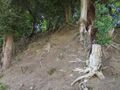 Thumbnail for version as of 14:21, 4 August 2024