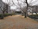Hamamatsu4.jpg