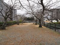 Hamamatsu4.jpg