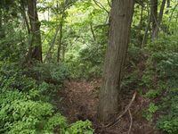 Ichijodani-yamajiro33.jpg