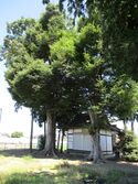 KaiOmagariYashiki (1).JPG