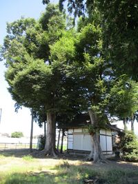 KaiOmagariYashiki (1).JPG