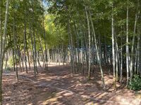 MikawaOkajouGlenn (6).jpg