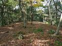 Ohmatsuyama8.jpg