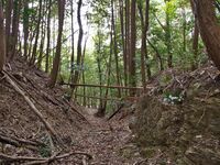 Okudanitanba13.jpg