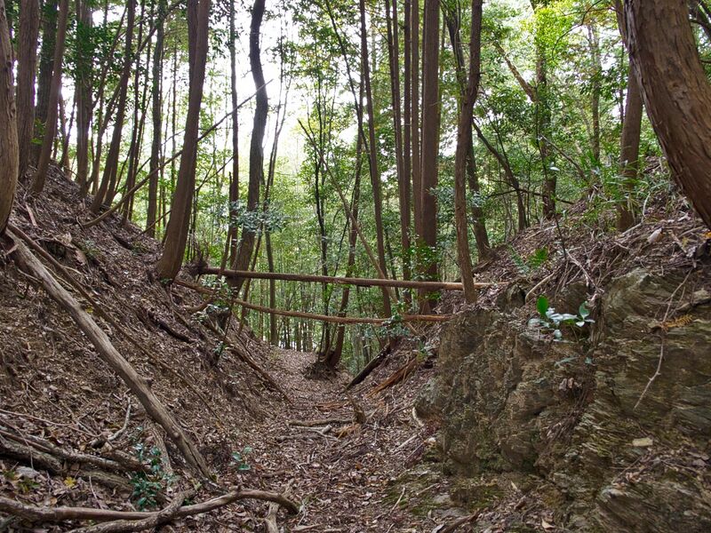 File:Okudanitanba13.jpg