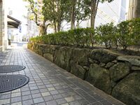 Otsu9.jpg