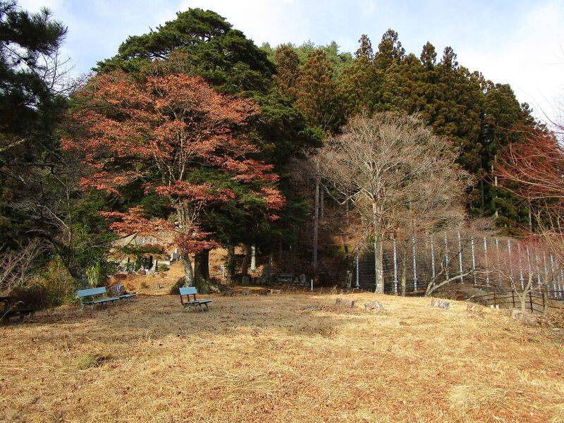 File:RyuugasakiYakata (1).jpg