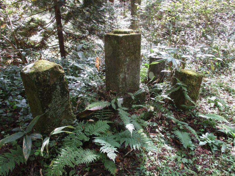 File:Senmijou (69).jpg