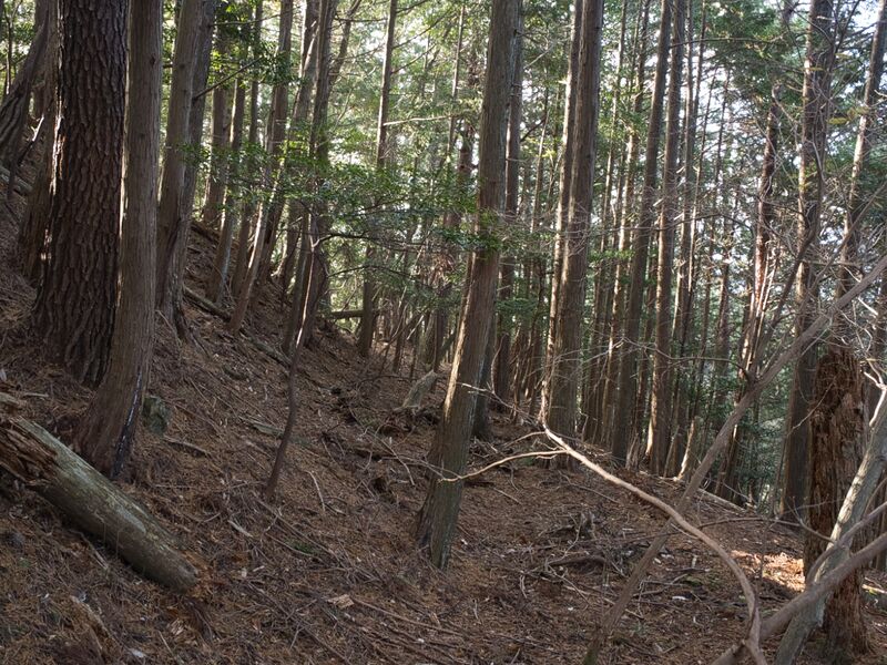 File:Shizuharanorth17.jpg