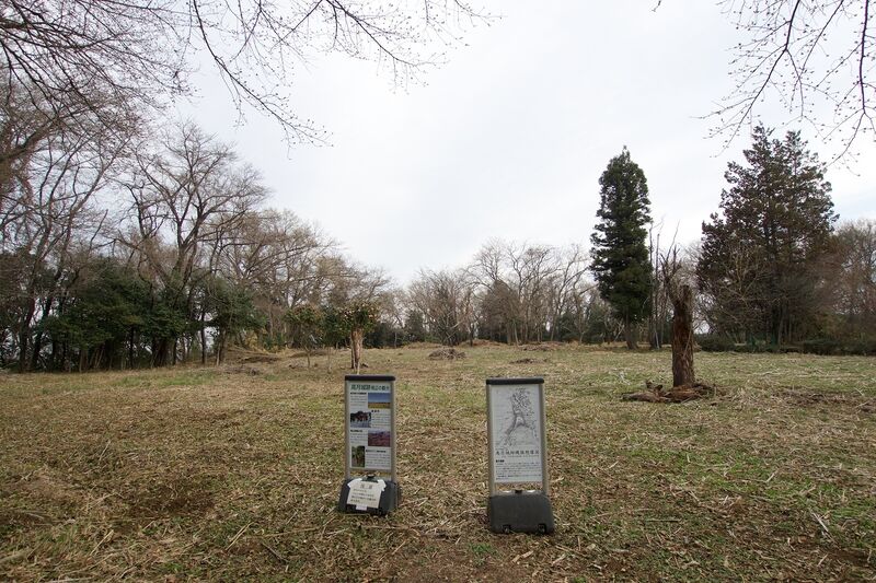 File:Takatsukitokyo10.jpg