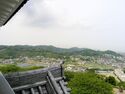 Tateyamachiba6.jpg