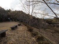 Tonoyamakoka4.jpg