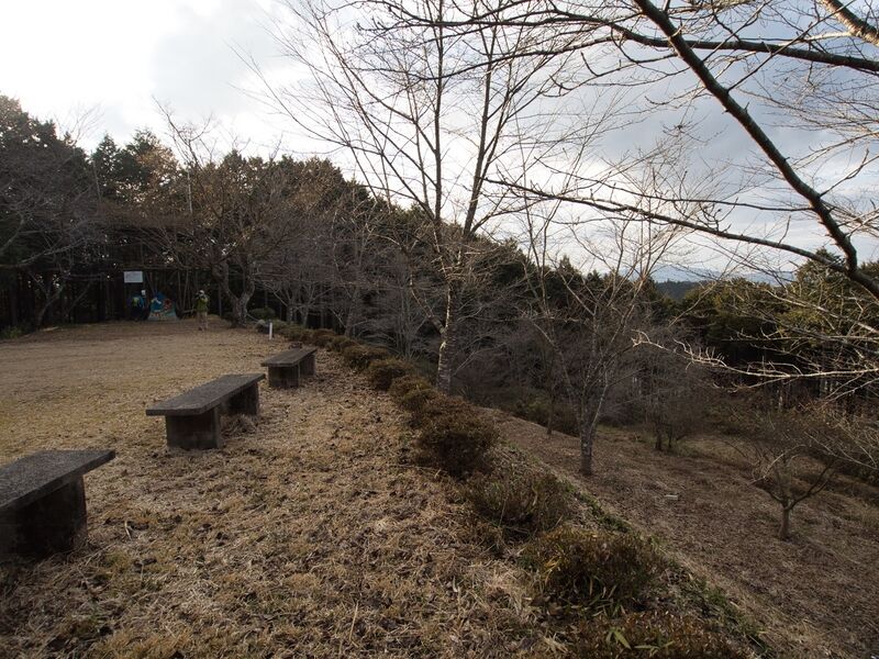 File:Tonoyamakoka4.jpg