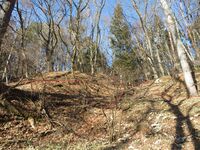 山吹大城08hori&terracing.JPG