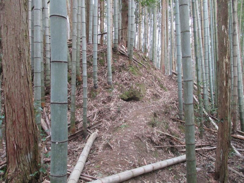 File:AsukeDaikannonjou (24).jpg