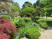 Hanamaki (2).JPG