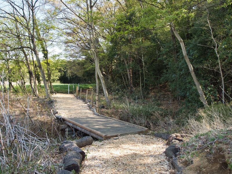File:Inayashiki7.jpg