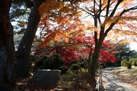Ishinomaki28.JPG