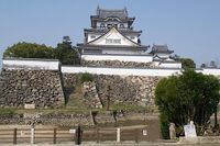 Kishiwada17.jpg