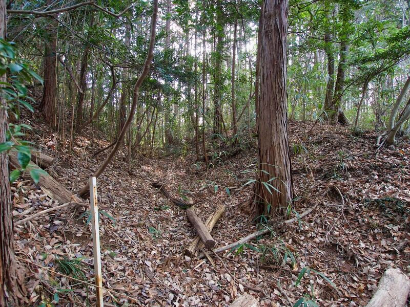 File:Manago6.jpg