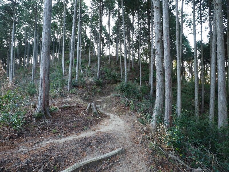 File:Matsudairajo6.jpg