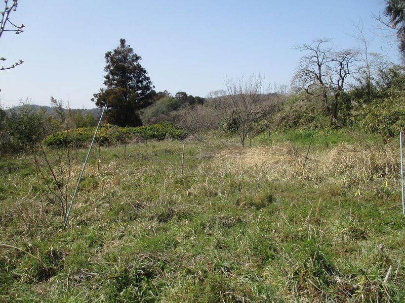 File:MikawaKukyuudairajou (13).jpg
