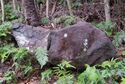 Usami nakoyama quarry38.jpg
