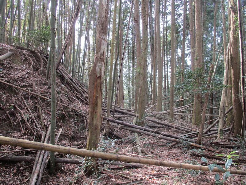File:AsukeDaikannonjou (28).jpg