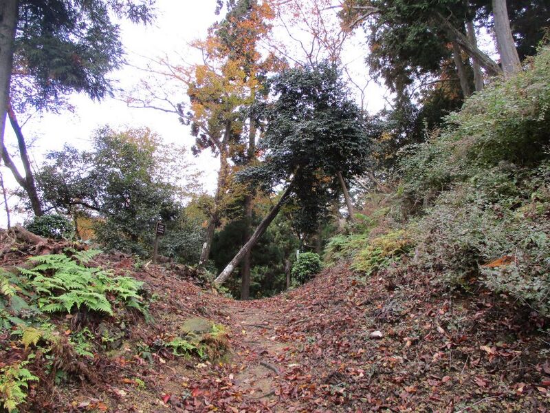File:Bodaiyamajou 005.jpg