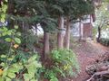 Thumbnail for version as of 10:39, 18 January 2020