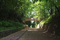 Gion4.jpg