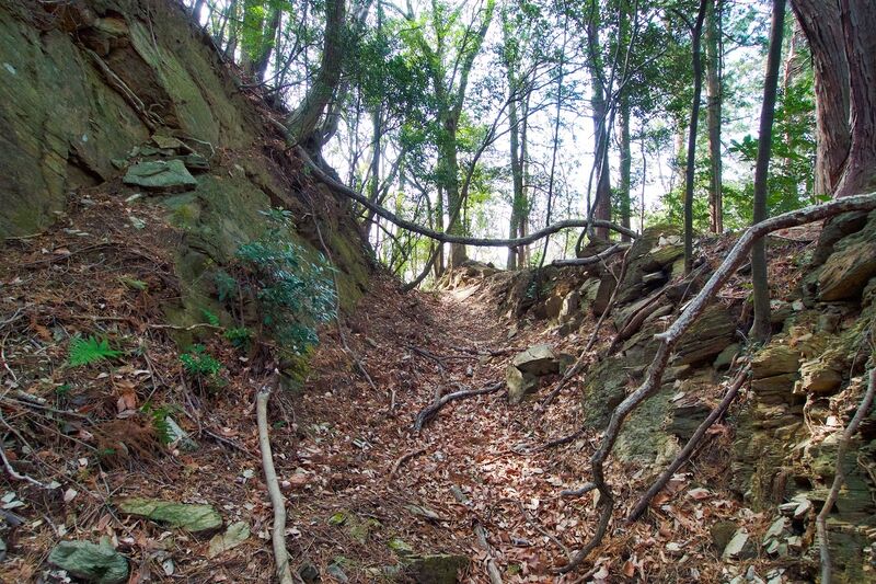 File:Hanazono29.jpg