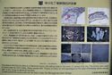 Hayakawa quarry3.jpg