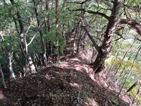 IMG 0595.JPG