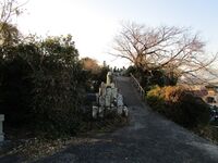 IzuOhdairashinjou11.JPG