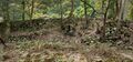 Thumbnail for version as of 21:29, 21 July 2024