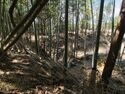 Kokashimoyama12.jpg