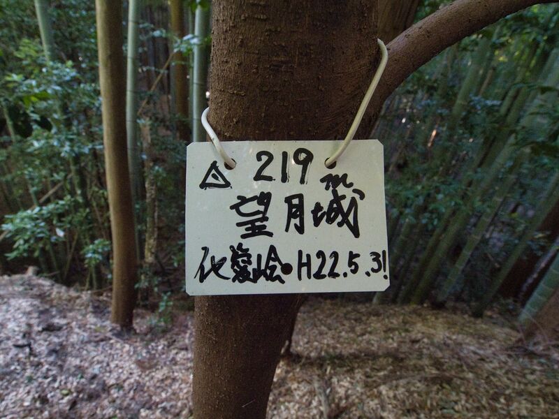 File:Mochizukikoka14.jpg