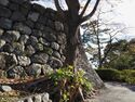 Odawara30.jpg