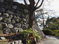 Odawara30.jpg