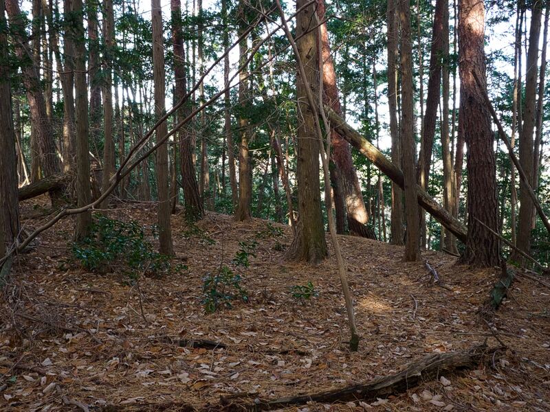 File:Shizuharanorth18.jpg