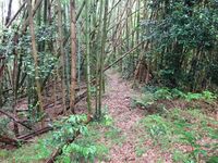 Trail of Suikei-Okayamajô.JPG