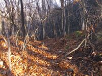 Tsutsugahanajou (13).JPG