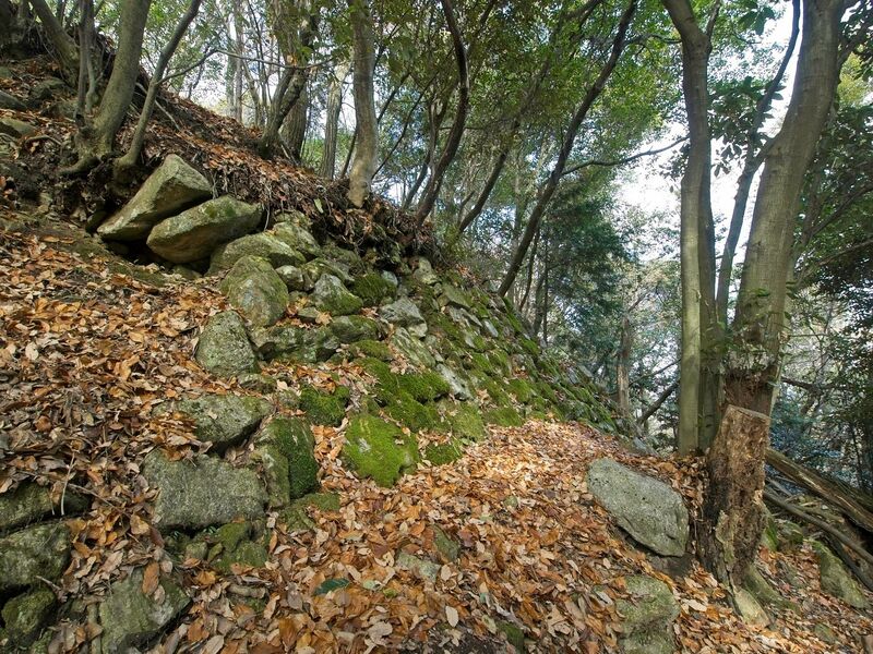 File:Usayama37.jpg