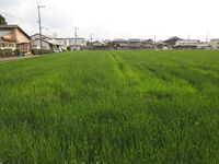 GamouKuriYakata (2).JPG