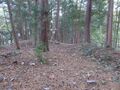 Thumbnail for version as of 15:02, 18 January 2020