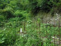 Ioyama4.jpg