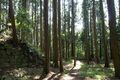 Thumbnail for version as of 13:26, 24 June 2017